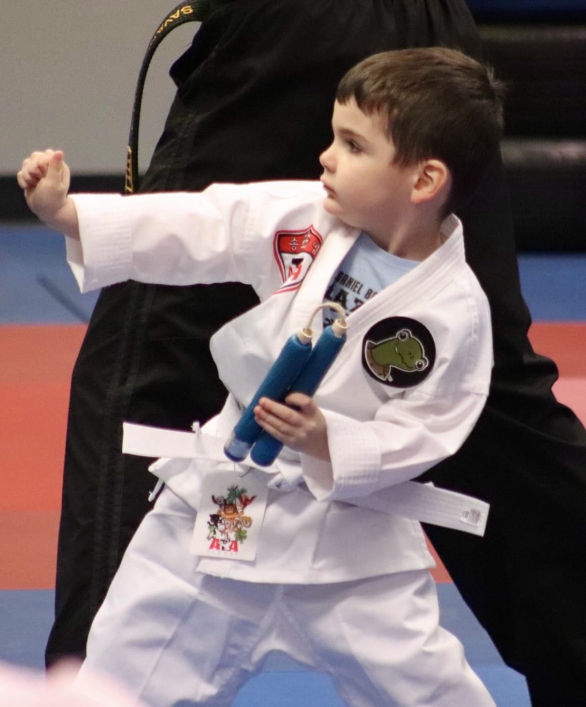 Pottstown ATA Martial Arts Memberships image